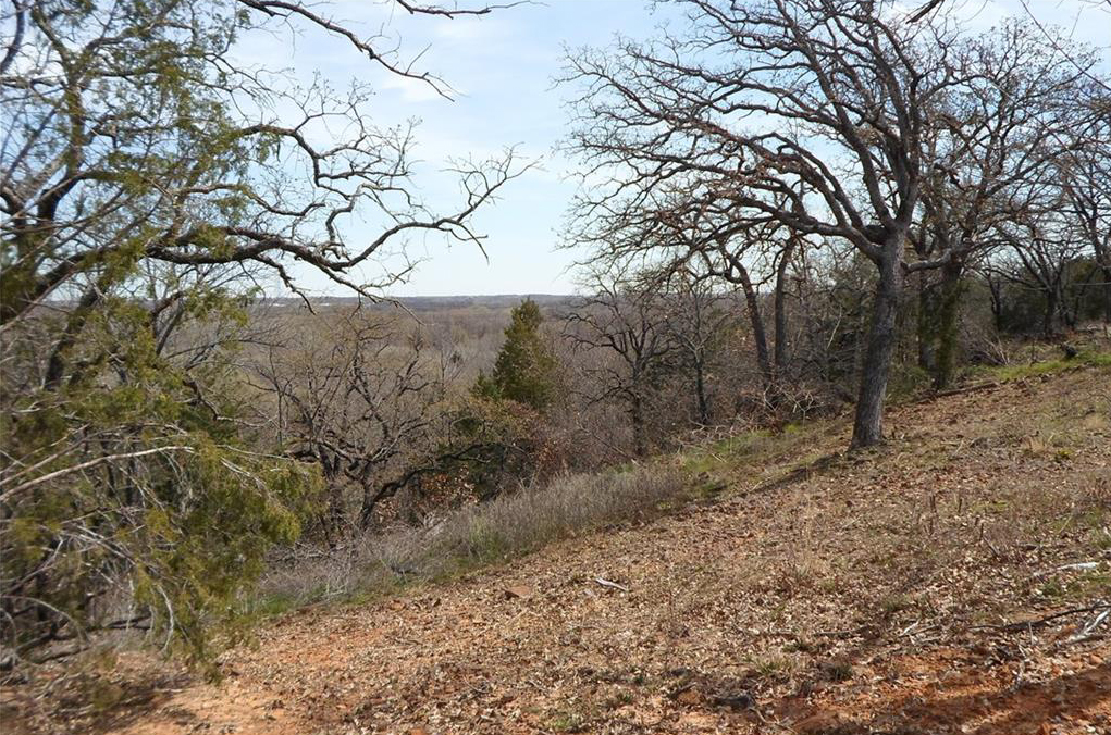 Horse property and acreage with trees for sale Argyle, TX
