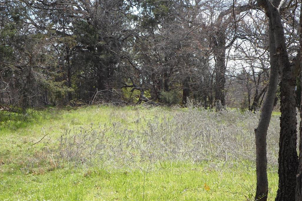 Horse property and acreage with trees for sale Argyle, TX